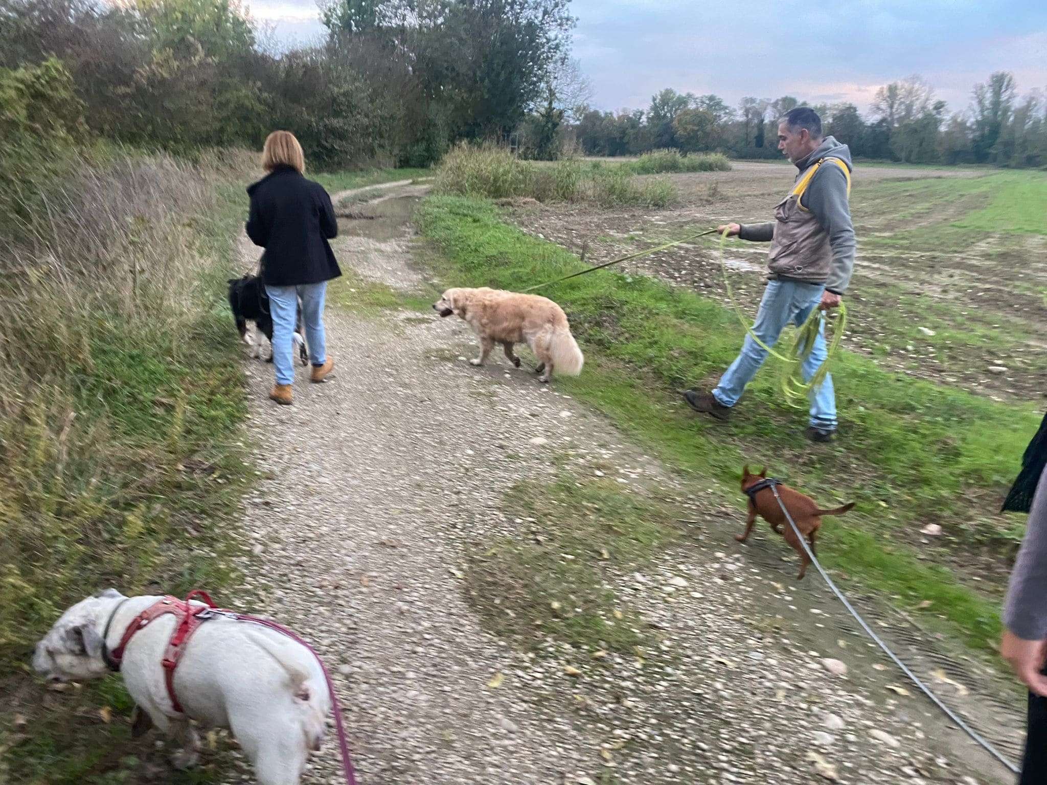 La balade sociale Durée 1h00 à 1h30 - 10€